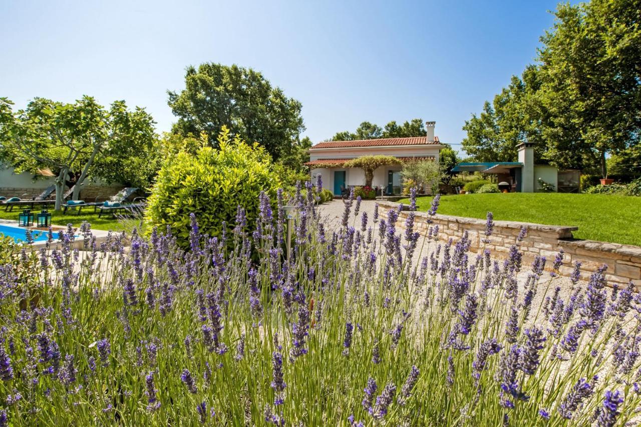 Villa Ferenc Rovinj Exterior photo